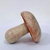 Miniature Mushroom High Simulation Fairy Garden Mushroom Ornament Weather Resistant Colorfast Micro Landscape Bonsai Decoration Mushroom