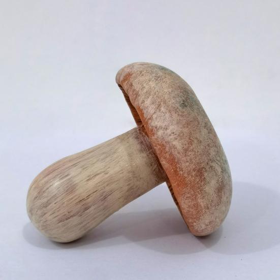 Miniature Mushroom High Simulation Fairy Garden Mushroom Ornament Weather Resistant Colorfast Micro Landscape Bonsai Decoration Mushroom