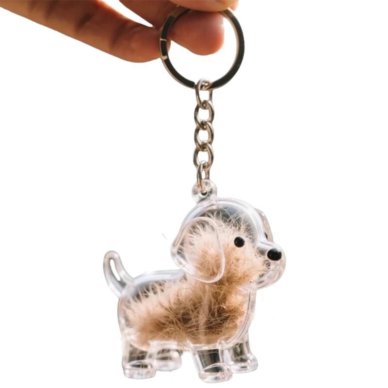 1/6Pcs Clear Pet Hair Memorial Keychain Dog Furs Collector Keepsakes Plastic Storage Box For Dog Cats Lover Gift