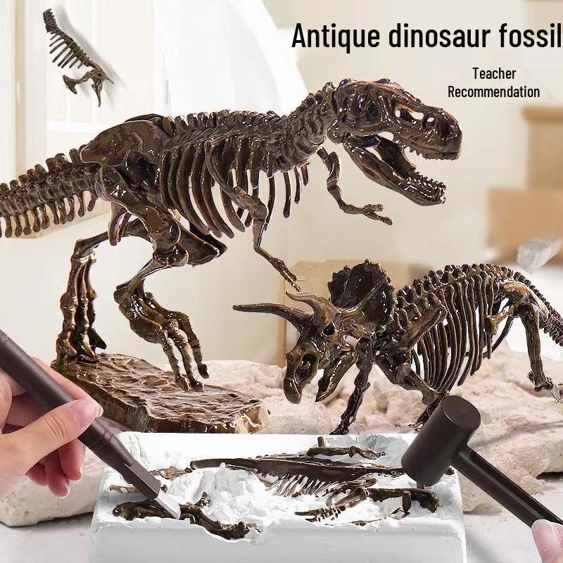

DIY Dinosaur Fossil Dig Toy & Assemble Skeleton Model for Kids