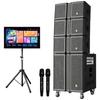MALONE High-Power Line Array Speaker System with Wireless Mic & Bluetooth (CN Version)