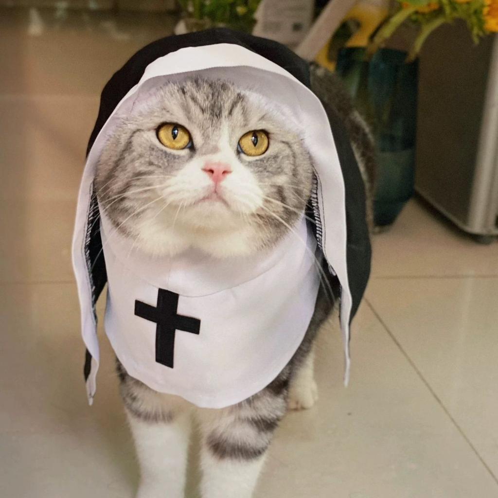 Nun costume, pet clothes, summer thin, breathable, funny cosplay photo props, small and medium-sized internet-famous styles