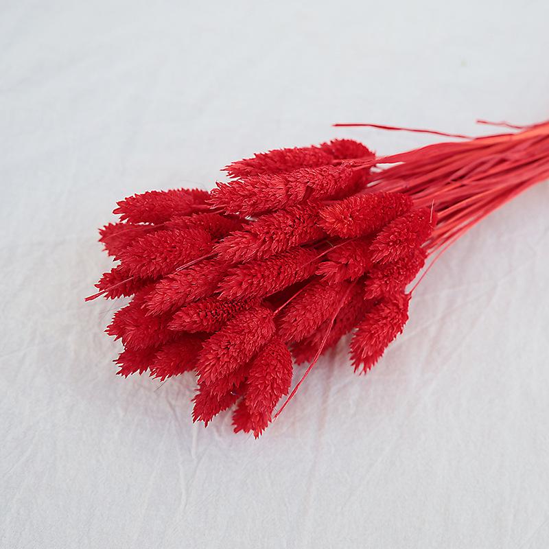 Natural Dried Statice Flower Bouquet - Everlasting Decoration for Vase & DIY Arrangements