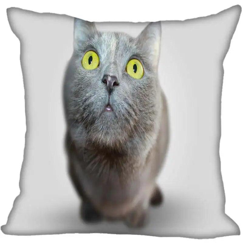 Pillowcase Modern Home Cat Animal  Living Room