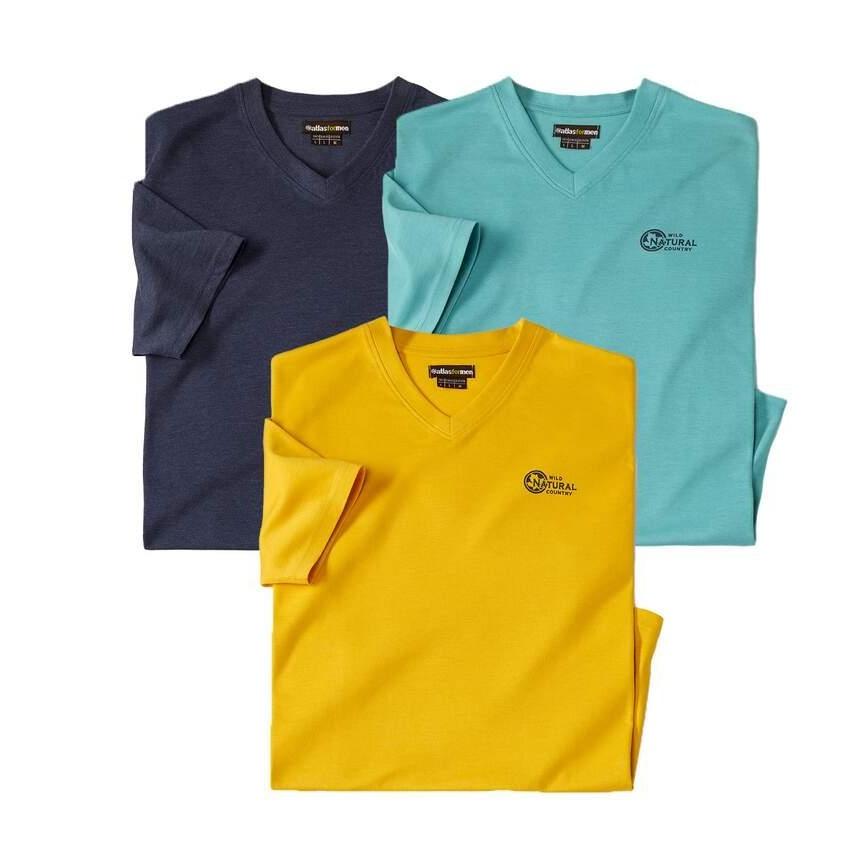 Atlas For Men Mens V Neck T-Shirt (Pack of 3)