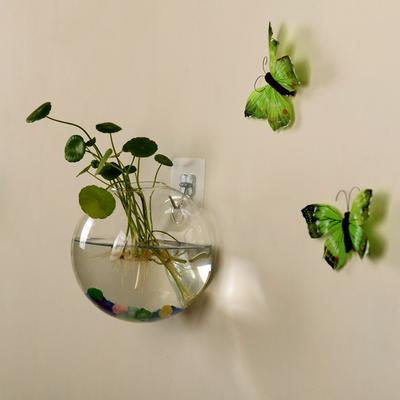 Glassvase Vegghengende Hydroponic Terrarium Fish Tanks Potteplante Blomsterpotte