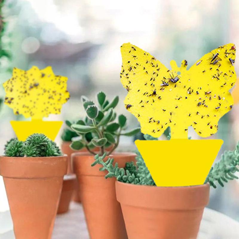 30-10PC Heterotypic Sticky Insect Board for Home Courtyard Flower Pest Control Catcher, Flower Pot, Garden Flower Insect Heterotypic Trap