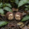 Pastoral Garden Figurines 2Pcs Cute Hedgehog Resin Mini for Succulents Pot Terrarium, Micro Landscape Small Gift Items Decor, Miniature Forest Animal