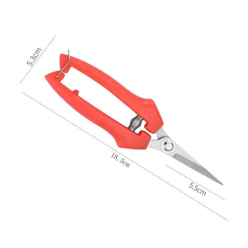 Stainless Steel Garden Pruning Shears for Thinning, Fruit Picking, and Orchard Gardening.