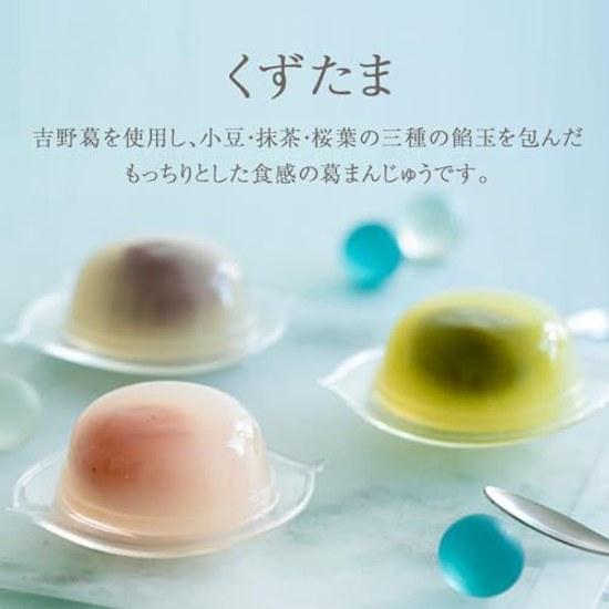 Kyoto Kogetsu Wagashi Assortment 8 Types 19 Pieces (Premium Senju Senbei 10 3 Anmitsu Kuzutama Hana) Respect Aged Day Offering Halloween