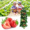 3pcs Hanging Plant Bags with 8 Holes for Strawberries, Multi-Pocket Perforated Grow Bags for Home Fruit Cultivation & Garden Use