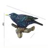 Bird Wall Hook Entryway Decor With Durable Resin Design Great For Organizing