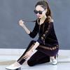 Gold Velvet Casual Sportswear Suit for Women Spring and Autumn Large Size Loose Hooded Fashion Two-piece Set