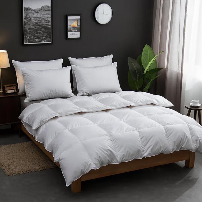 Winter Warm Cotton Quilt