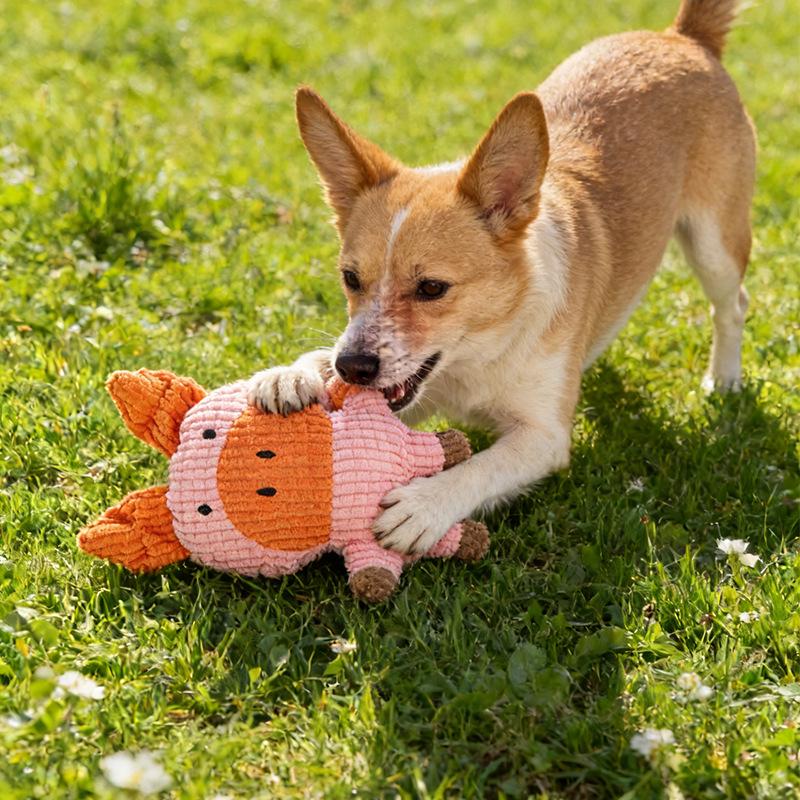 Pet Fun Squeaky Dog Toys - Cute & Entertaining Pet Supplies