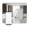 Zigbee Tuya 1-63A Energy Measurement Fuse