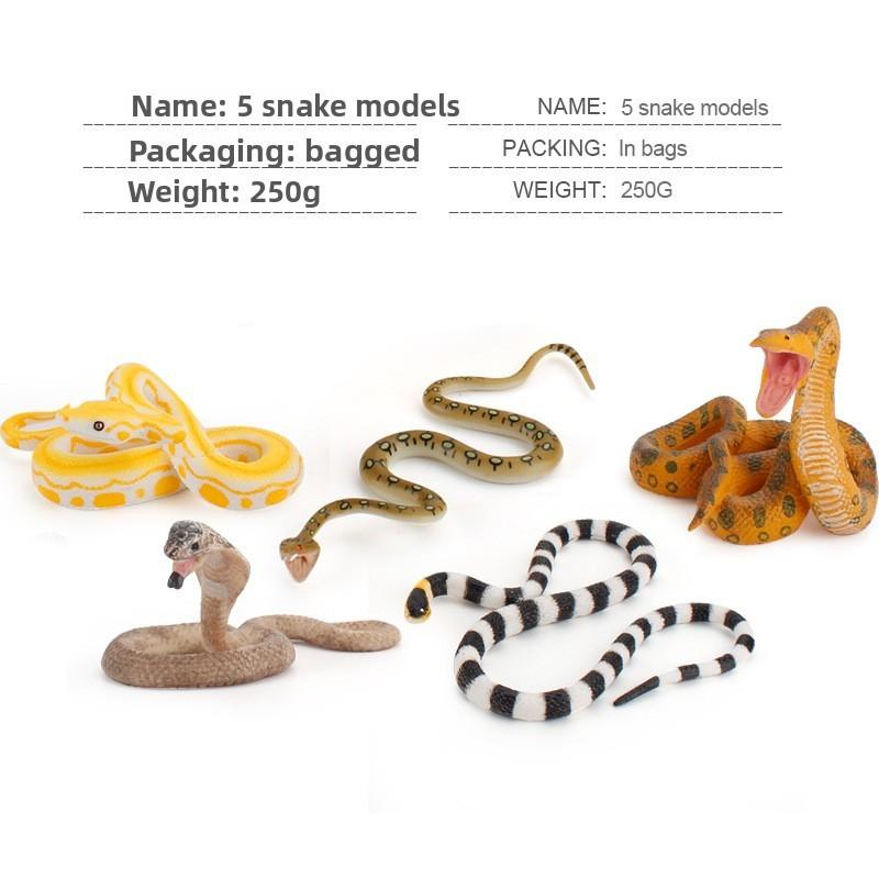 Reptile Pvc Snake Models For Educational Displays And Kids Learning Toys