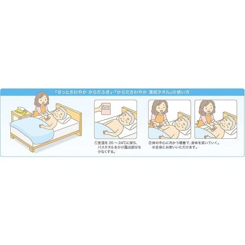[set product] habinase cleaning towels 30 pieces [x2 pieces]