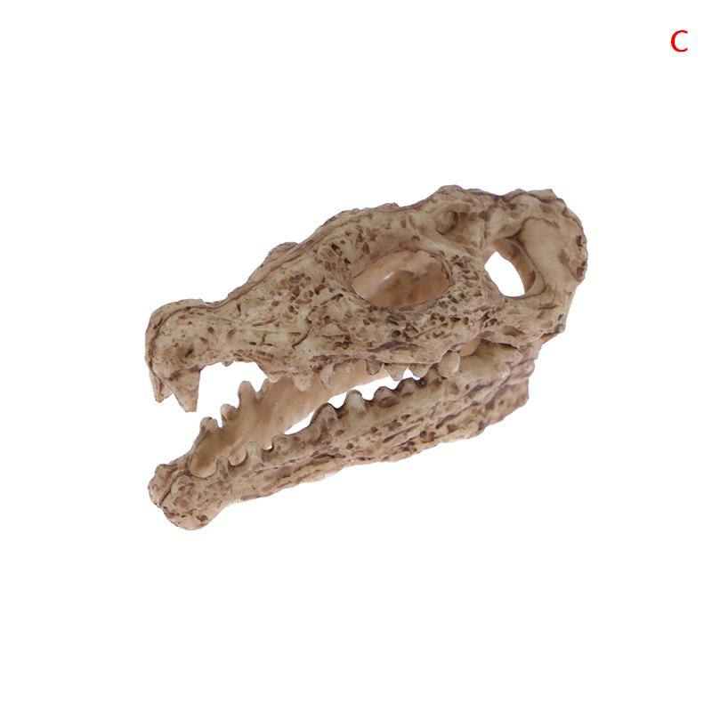 

1шт Креативний Череп Череп Прикраса акваріума Риба Креветки Будинок-притулок Будинок скорпіона Аквариум Ремесла Декор Ландшафтний дизайн 5.5*2.5*3cm