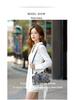 Autumn/Winter Luxury Crossbody Box Bag - Versatile, Casual Boston Pillow Handbag