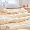 Weike Anti-bacterial Anti-mite Polylactic Acid Fiber Quilt