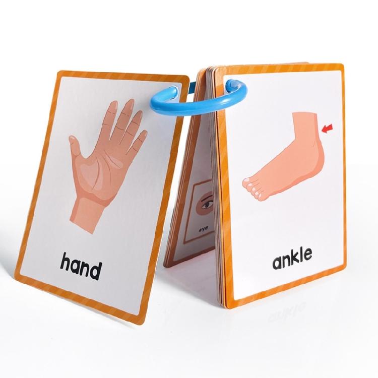 Early Learning Word Card Interactive Vocabulary Building Flash Cards Children Learning English Vocabulary Cards 11x8cm