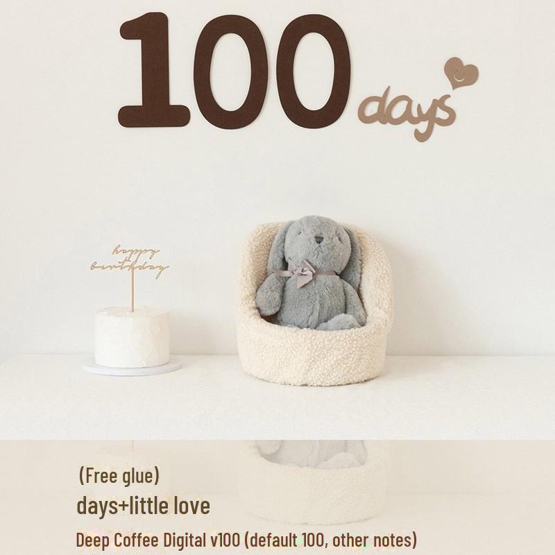 Minimalist Baby Photo Props for Milestones: Newborn, 100 Days, and First Birthday