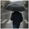 Regenschirm - Cristaflor - Automatik - Faltbar 32 cm - Windfest - Wasserabweisendes Gewebe