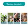 Mandulai Tree Wound Healing Paste