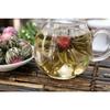 5 pezzi Tè ai fiori di gelsomino in fiore Tè naturale biologico per la salute con boccioli essiccati floreali