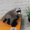 Animal Model Simulation Raccoon Model Realistic Simulation 3D Raccoon Raccoon Figure  Photo Props
