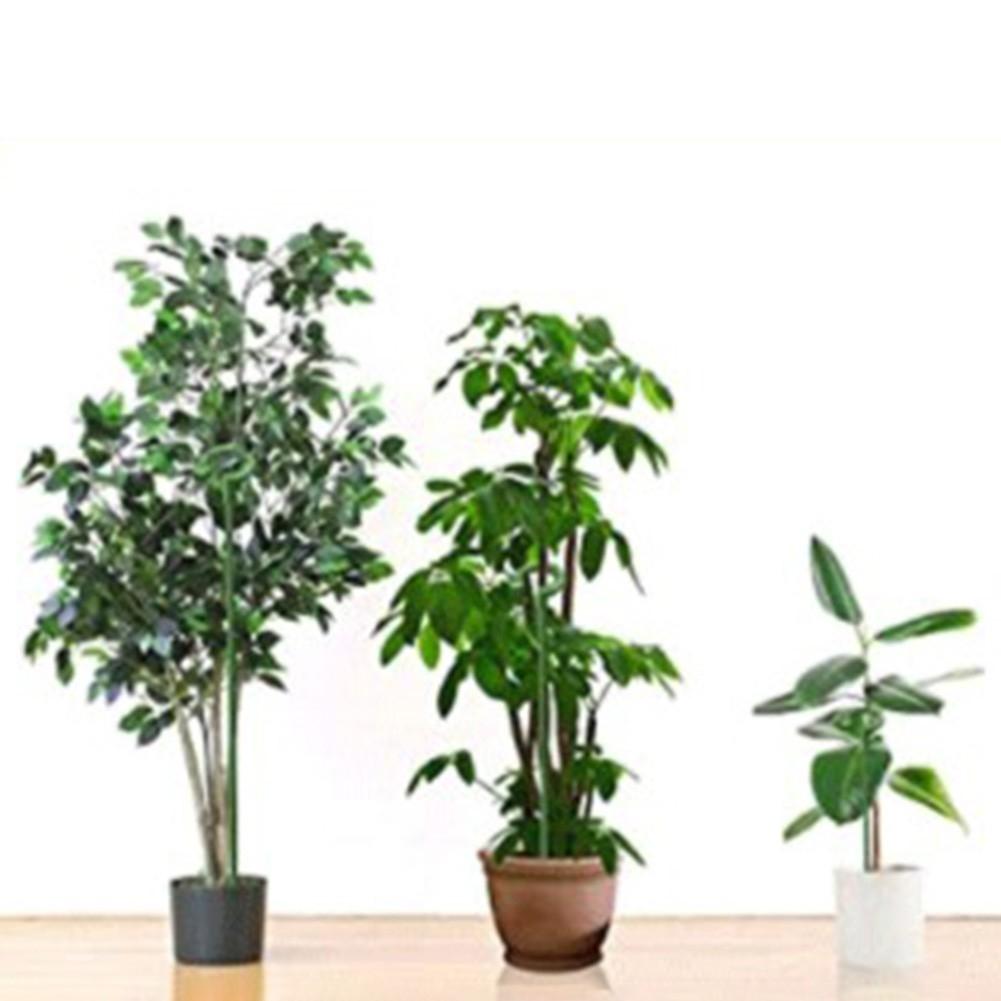 Trellis Flower Stand Phalaenopsis Rod Plant Support