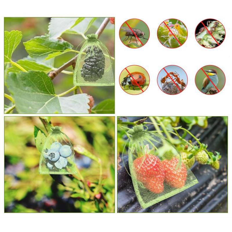Breathable Fruit Protection Mesh Bag for Melons, Strawberries, Figs, Grapes, and Peaches - Anti-Bird Cover
