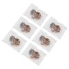 Kumquat Lemon Plum Tea Healthy Fruit Tea Bags for Morning Afternoon 6 Count In Total