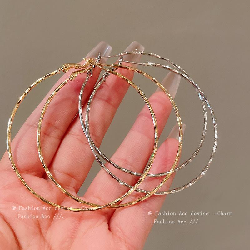 Silver needle metal wind circle twisted earrings European and American personality simple high-end earrings niche versatile earrings