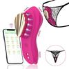 Fernbedienbarer Vibrator Magnetisch Tragbare Vibrationshöschen Mehrere Vibrationsmodi Silikon Klitoris Vagina Stimulator mit Weichen Borsten für Frauen