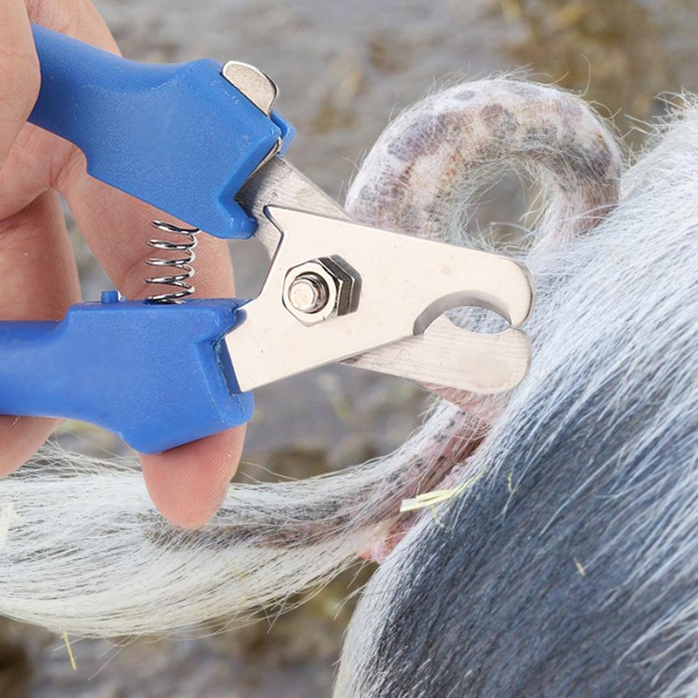 Premium Metal Tail Clamp High Quality Livestock Equipment Tail Cutting Pliers Livestock