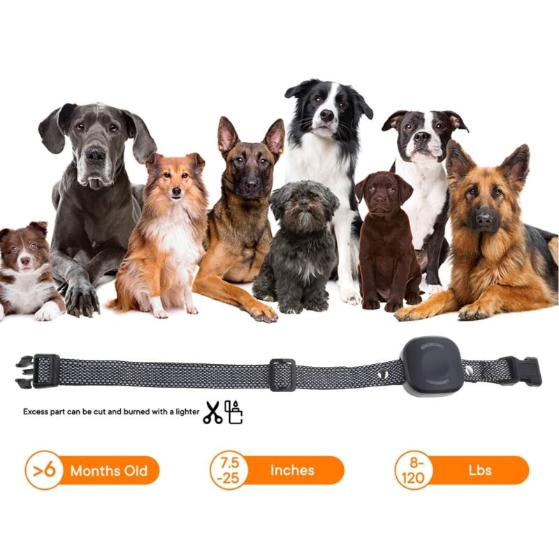 Electric Dogs Anti-bark Training Collar Pet Remote Control Anti-barking Supplies