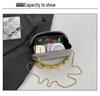2026 Spring Trendy Underarm Crossbody Bag: Chic Niche Design Women's Shoulder Handbag