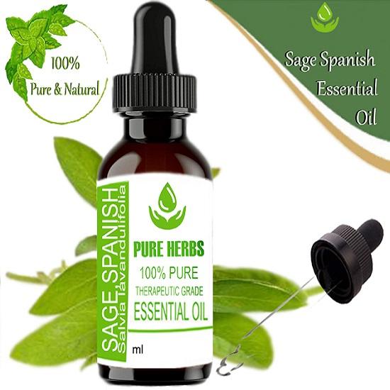 

Pure Herbs Sage Spanish (Salvia Lavandulifolia) Pure & Natural Therapeutic Grade Essential Oil Plastic with Dropper 10 ml