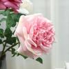 Simulation feel moisturizing Austin rose, home decoration living room ornament fake flower