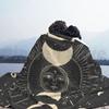 Одеяло Мистическая Фаза Луны 1578 Астрология Зодиак Гороскоп Фаза Луны Небесное Черное И