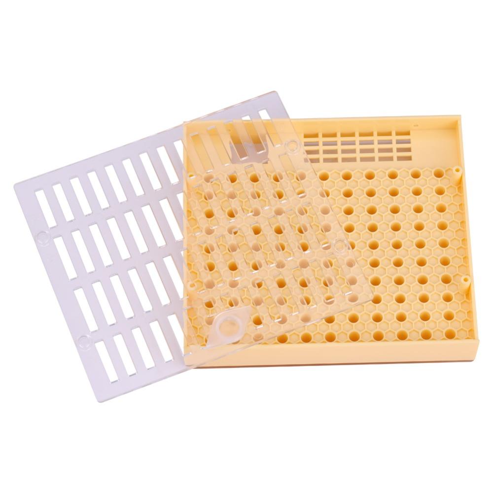 High Quality Plastic Queen Rearing Cup Kit Queen Rearing Cage Set  Raise Your Own Queens