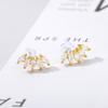 Temperament Fashion Zircon Flower Spike Earrings Earrings Women's Exquisite Versatile Premium Leaf Silver Needle Earrings