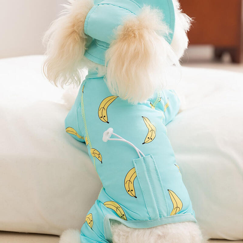 

Peach Banana Rash Guard Hat Set Puppy Summer pitch