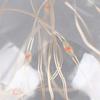 LED Edison String Light Bulb E27 220V  Colorful RGB Lighting Copper Wire Bulb