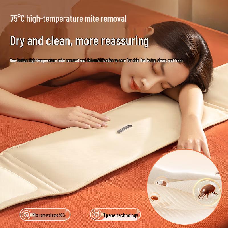 CLORIS Sea Salt Hot Compress Waist Massager CN plug (adapter included)