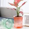Lightweight Automatic Hydrating Sustaining Plant Container Planter Flower Pot With Vibrant Color Option for Indoor Plant