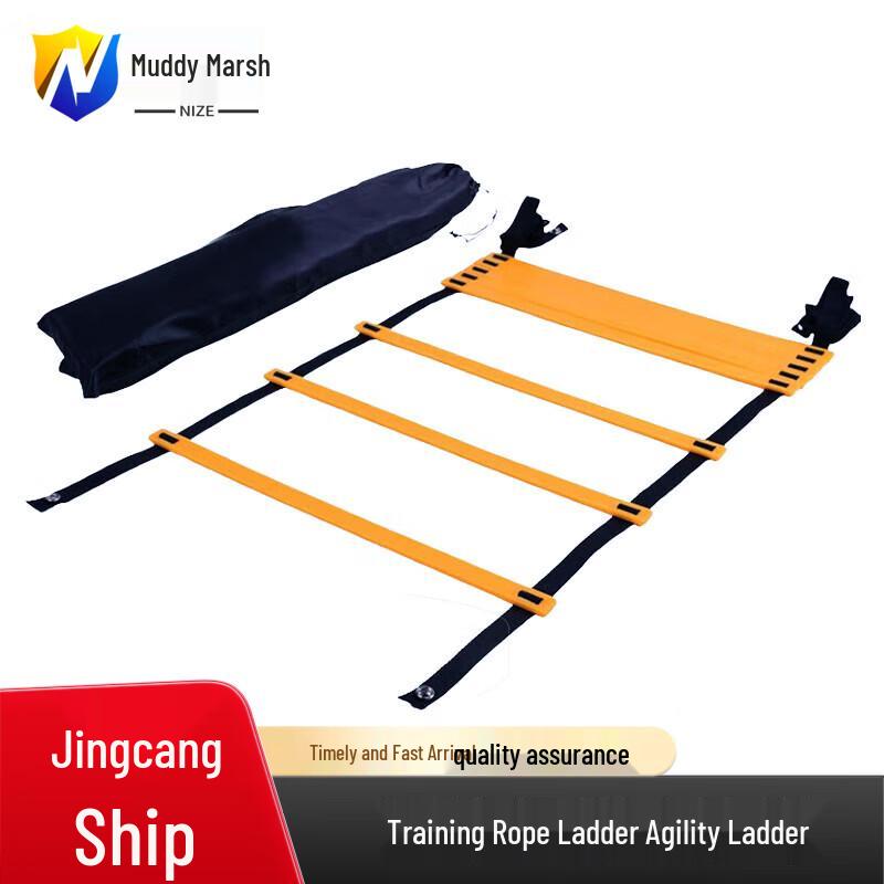 Agility Training Ladder