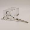 AOLANDUO Inch Professional Hair Scissor AICHI Steel Handmade Hair Cutting Razor Ergonomics for Salon Stylist Hairdresser and Barber 5.5 High-end